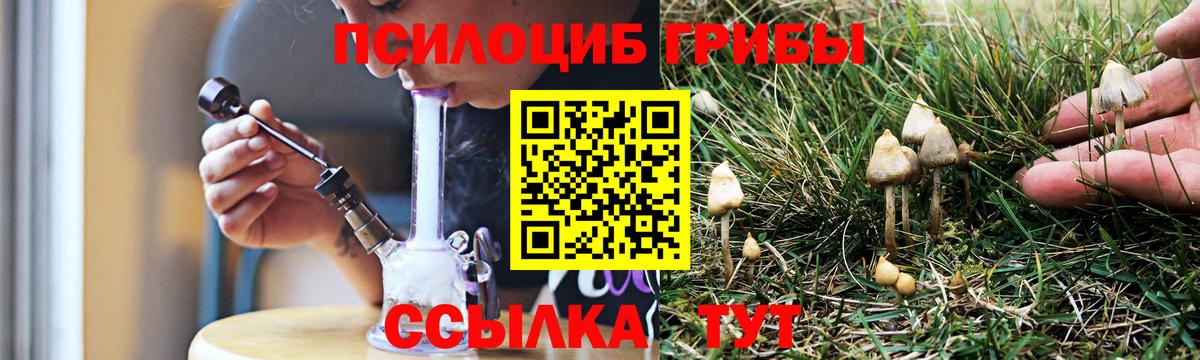 Дзержинский  Галлюциногенные грибы Psilocybe  Вход с VPN 